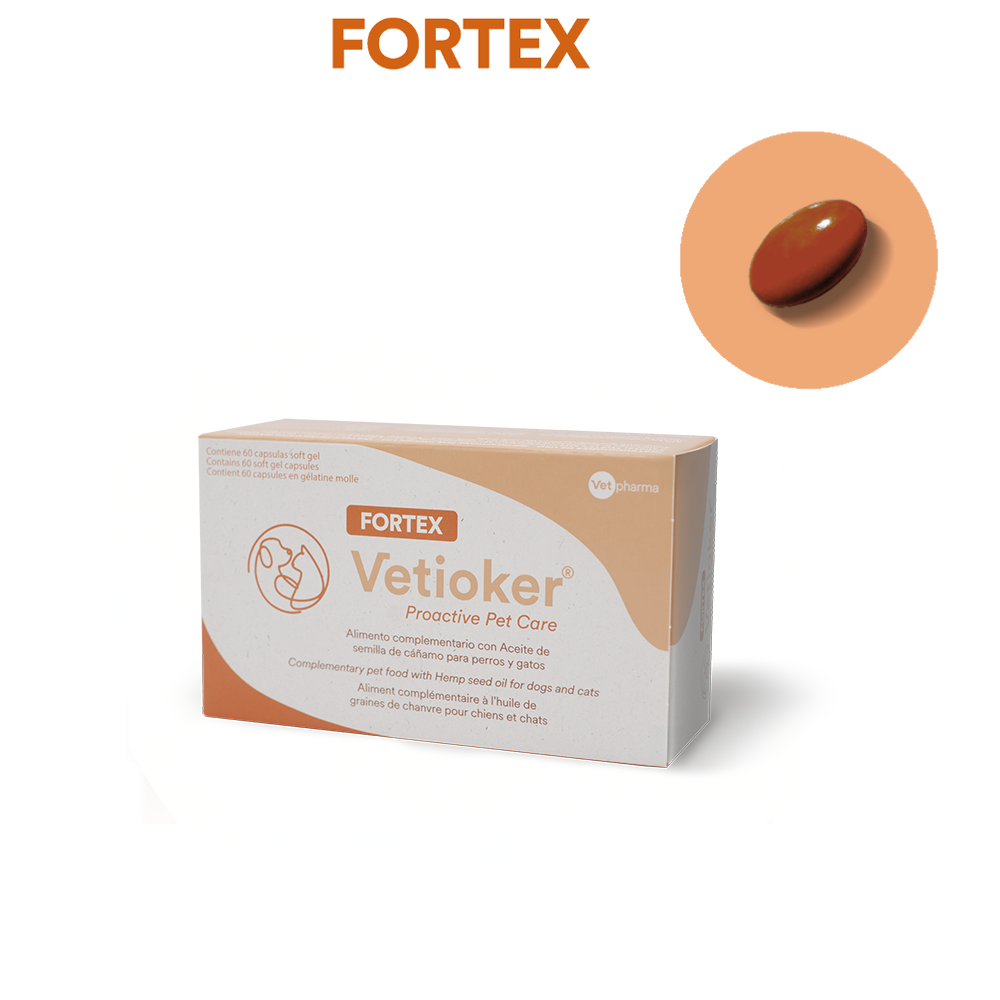 fortex-box